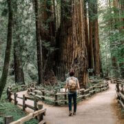 A person standing at a fork on a forest path deciding which side to take